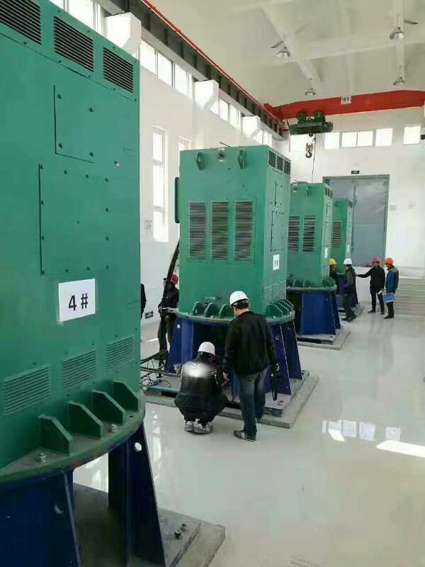 新乡某污水处理厂使用我厂的立式高压电机安装现场生产厂家